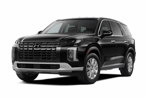 کفپوش چرمی پنج بعدی هیوندای پالیسید palisade هفت نفره